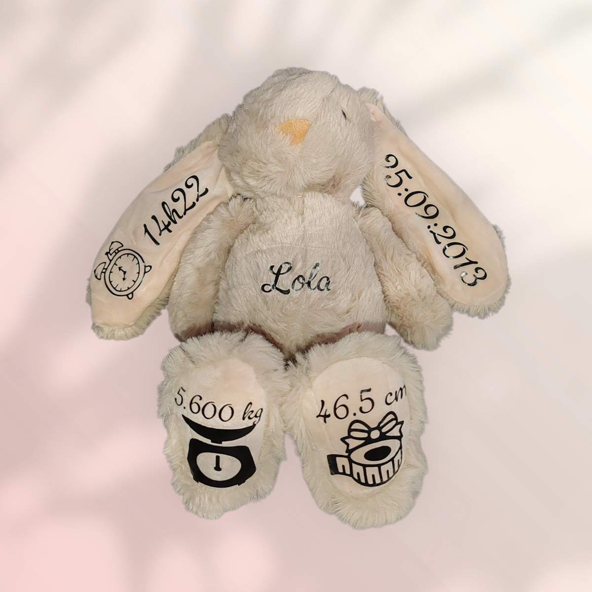 Lapin naissance