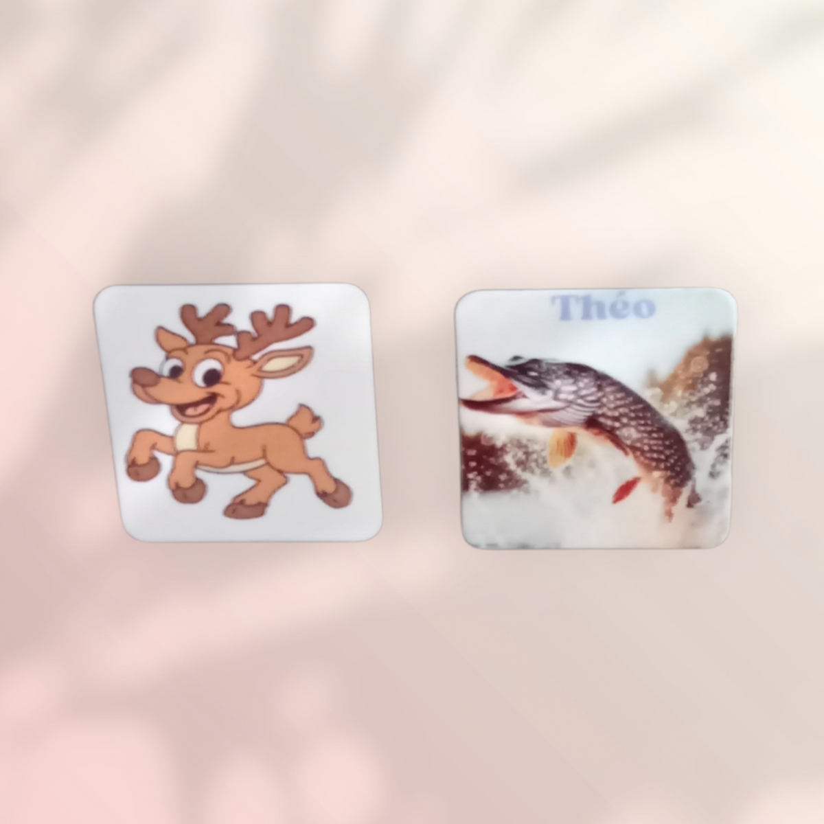 Magnets Frigo